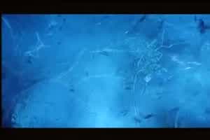 武侠丛林大战  背景图片