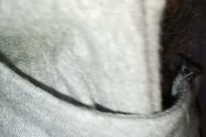 大一小女友的骚逼，欢迎插入，想看更多看相  背景图片