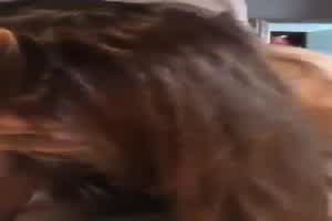 3P朋友妻不可骑摸了奶子还干B  背景图片