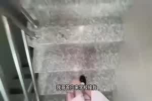 【兄妹乱伦】我可是你亲妹妹 超嫩高症小妹的开发计划jk白丝一线天最终被调教成我的小性奴  背景图片