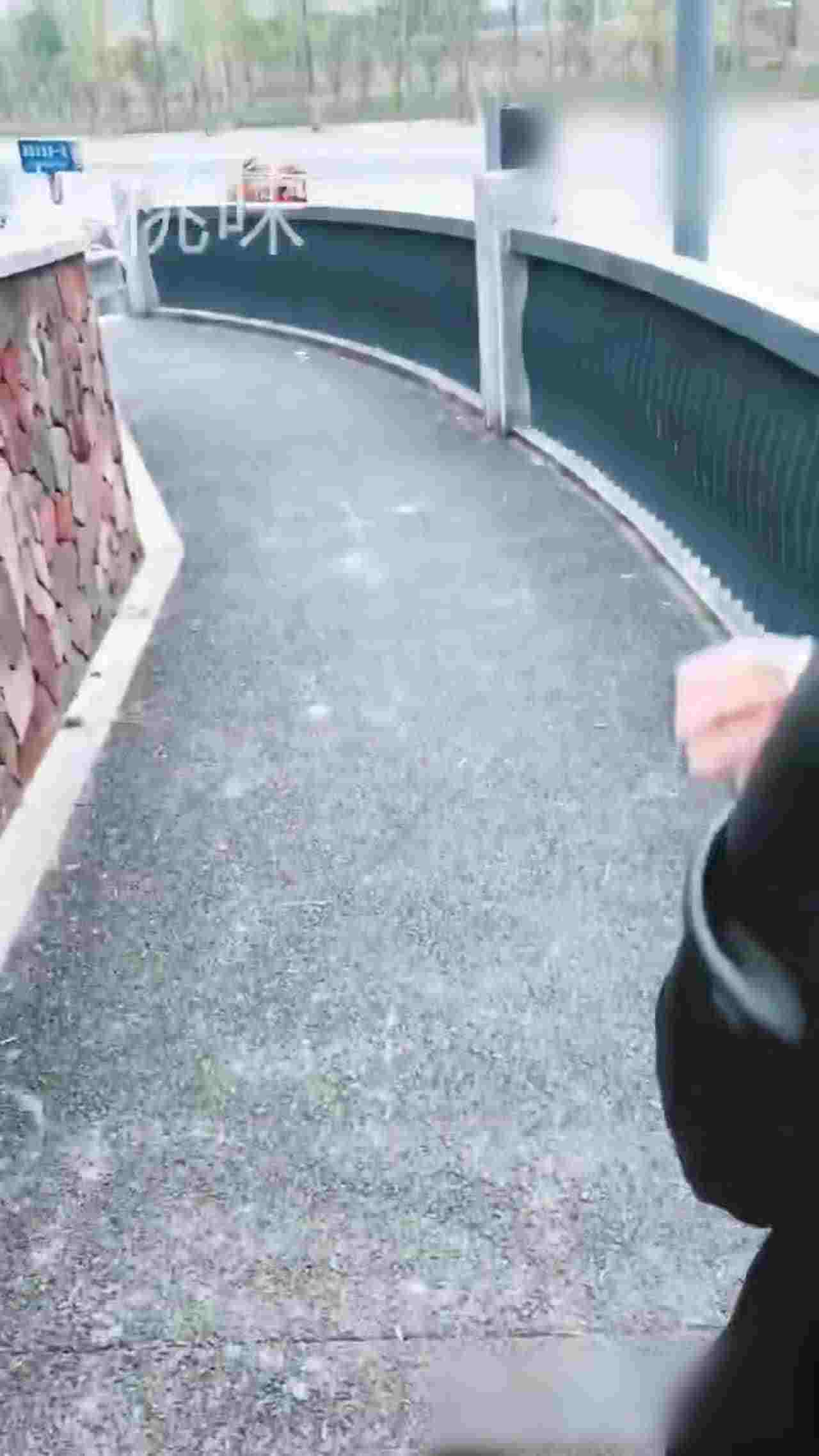  全网疯传！在外遛小母狗出门露出 的剧照6